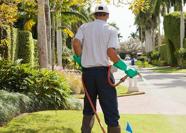 About Donahue IA Pest Control